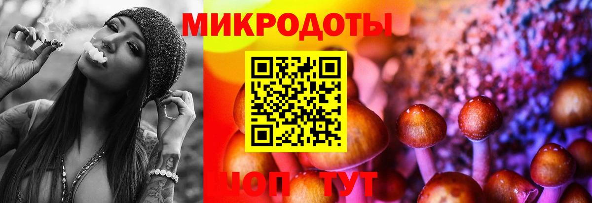 Псилоцибиновые грибы мицелий Феодосия